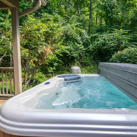 Swannanoa Creek - Image 1